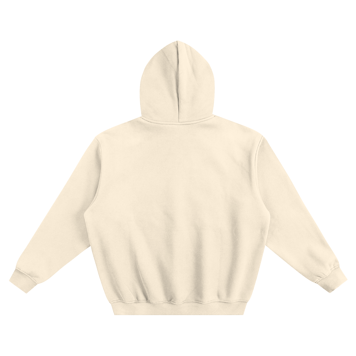 Fleeced  Hoodie